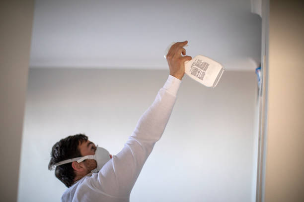 Best Mold Testing and Inspection Services in Casa Grande, AZ